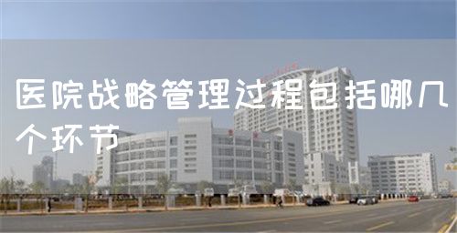 醫(yī)院戰(zhàn)略管理過程包括哪幾個(gè)環(huán)節(jié)(圖1)