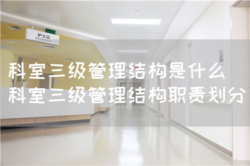科室三級管理結構是什么（科室三級管理結構職責劃分）(圖1)