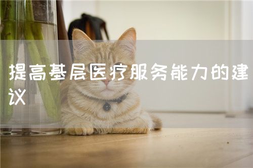 提高基層醫(yī)療服務能力的建議(圖1)