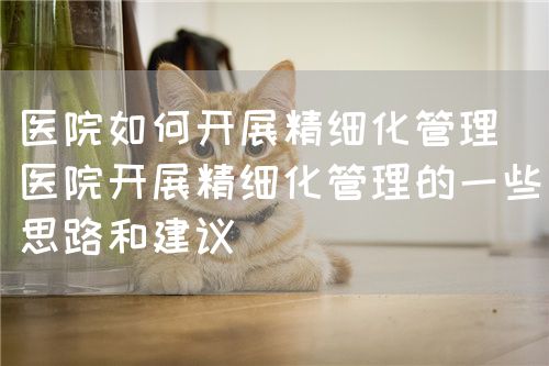 醫(yī)院如何開展精細(xì)化管理（醫(yī)院開展精細(xì)化管理的一些思路和建議）(圖1)