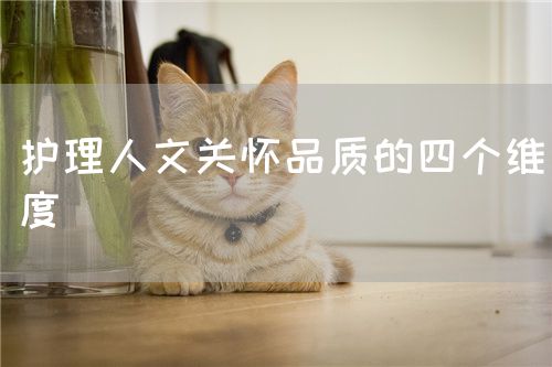 護(hù)理人文關(guān)懷品質(zhì)的四個(gè)維度(圖1)