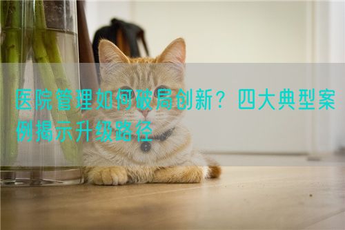 醫院管理如何破局創新？四大典型案例揭示升級路徑(圖1)