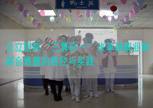 公立醫院“三算合一”改革破解業財融合難題的路徑與實踐(圖1)