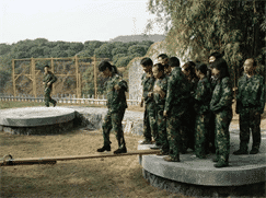 孤島求救—如何管理各層級的分工與合作