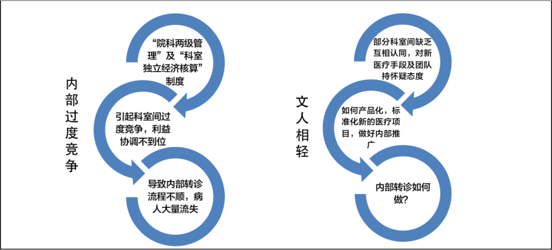 醫療延伸服務產品化創新項目咨詢建議書(圖6) 醫療延伸服務產品化創新項目咨詢建議書(圖6)