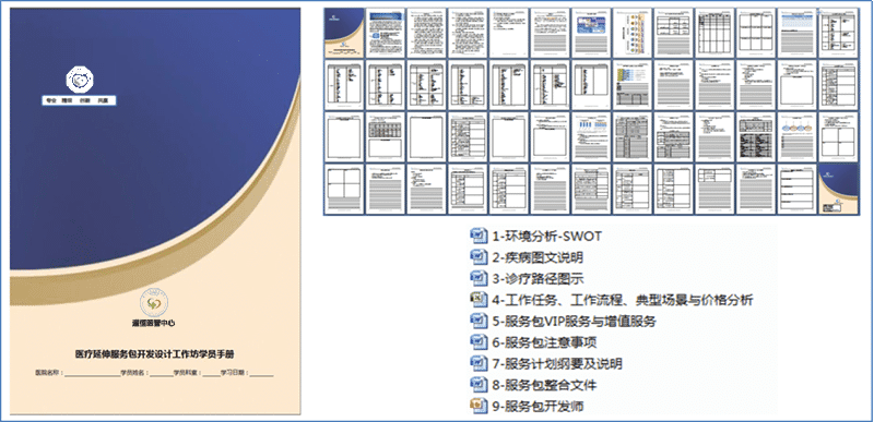 醫療延伸服務產品化創新項目咨詢建議書(圖13) 醫療延伸服務產品化創新項目咨詢建議書(圖13)