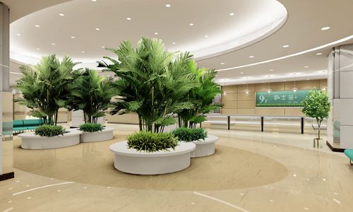 醫院綠化的內容有哪些？分享現代醫院綠化建設要求(圖2)