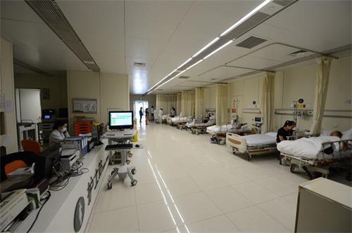 新認識新生代的醫院經營管理，學科建設成為重中之重(圖1)