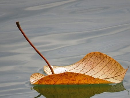 醫(yī)院績(jī)效考核怎么保持合理的可持續(xù)性？(圖1)